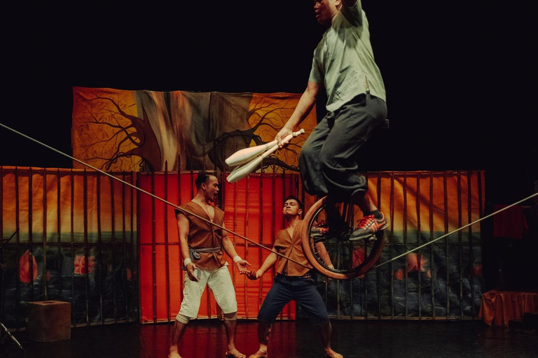 Siem Reap: The Cambodian Circus Show with Pick up & Drop off Section: A Vip Tickets