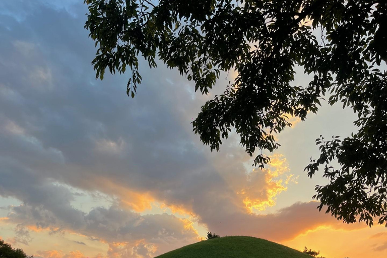 Private Gyeongju UNESCO Tour with Ryan - Starts in Gyeongju From Gyeongju: Private UNESCO Highlights with a Local Guide