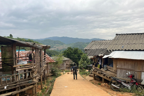 Chiang Rai: Jungle Adventure-Group Trekking & Bamboo Cooking