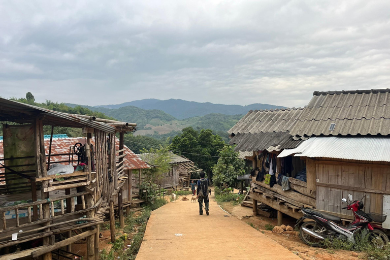 Chiang Rai: Jungle Adventure-Group Trekking & Bamboo Cooking