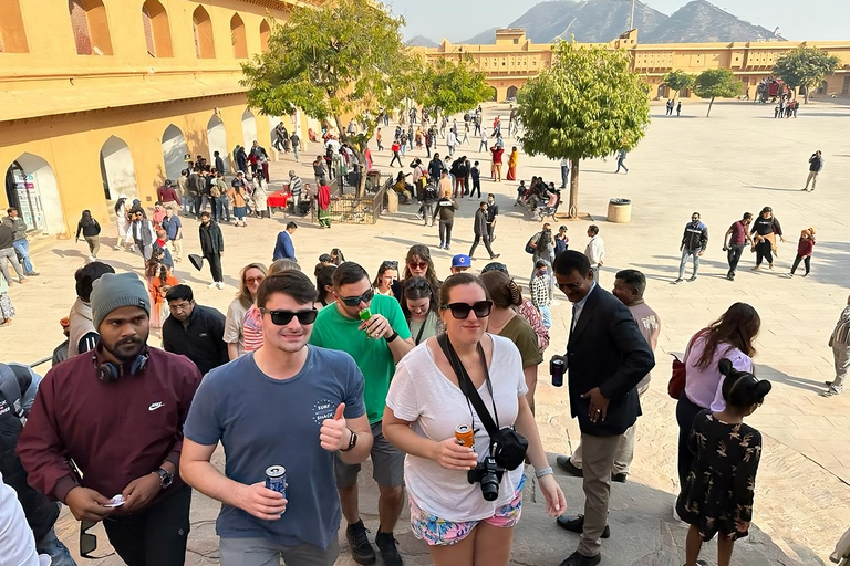 From Delhi: Jaipur City Historical and Culture Full-Day TripTour with Private Transportation (No Lunch or Entry Tickets)