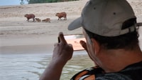 Tambopata All in One - Housity