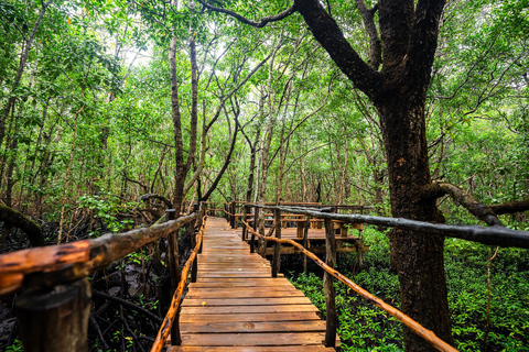 Zanzibar: Secret Beach, Kuza Cave e Jozani com trasladoPraia secreta, caverna Kuza e floresta Jozani com traslado