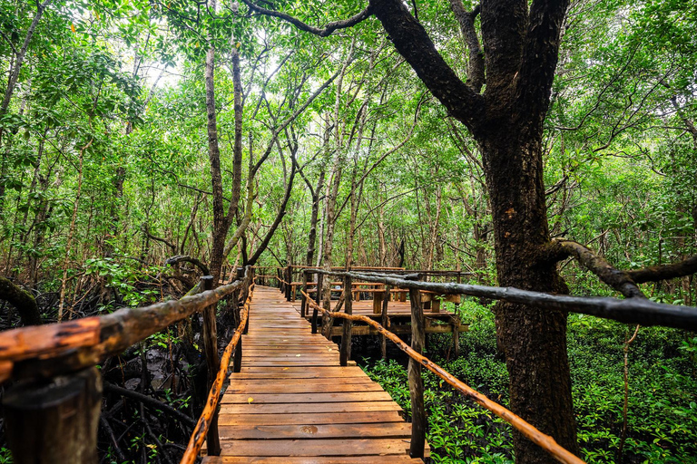 Zanzibar: Secret Beach, Kuza Cave e Jozani con trasferimentoSpiaggia Segreta, Grotta di Kuza e foresta di Jozani con trasferimento