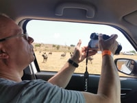 Safari at Lion and Rhino Park / Lesedi Culture Village - Housity