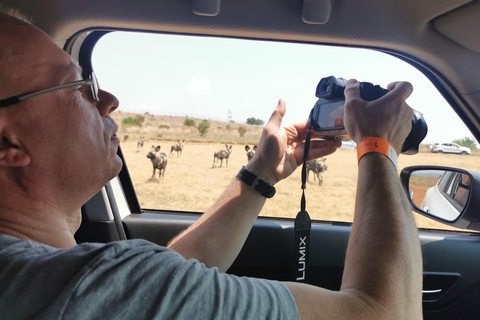 Safari at Lion and Rhino Park / Lesedi Culture Village