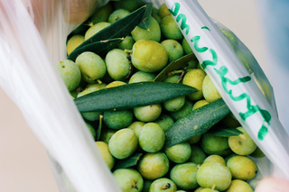 Casa Relvas, Vidigueira: Visit to the Oil Mill and Olive Oil and Wine Pairing