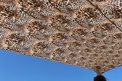 Huatulco: Surf Lesson with surf instructor. All Levels