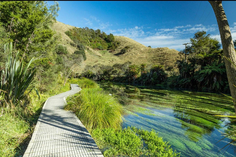 Auckland to Rotorua Private Custom Tour & Hotel Pickup
