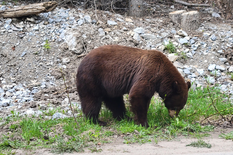 2 Days Banff Bucket List - Summer 2024