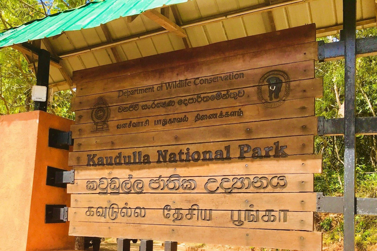 From Dambulla: Cave Temple & Kaudulla National Park Safari