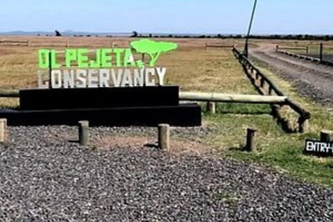 Nairobi: gita di 1 giorno alla riserva di Ol Pejeta con pick-up in hotel