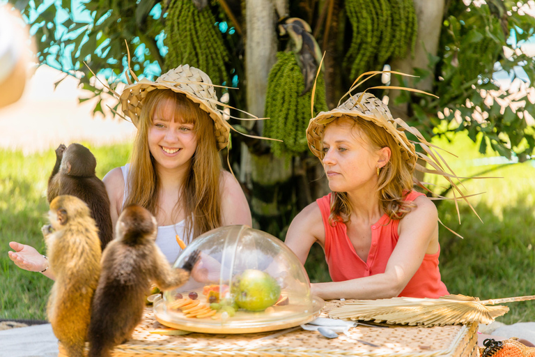 Punta Cana : Visite de la maison des singes