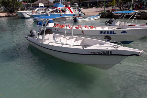 Ekskluzywna wycieczka na wyspę Catalina z transportem i obiadem w cenie