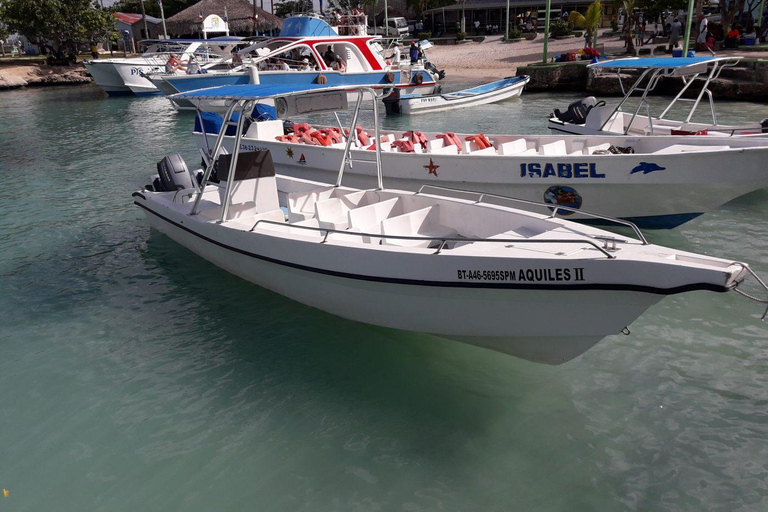 Ekskluzywna wycieczka na wyspę Catalina z transportem i obiadem w cenie