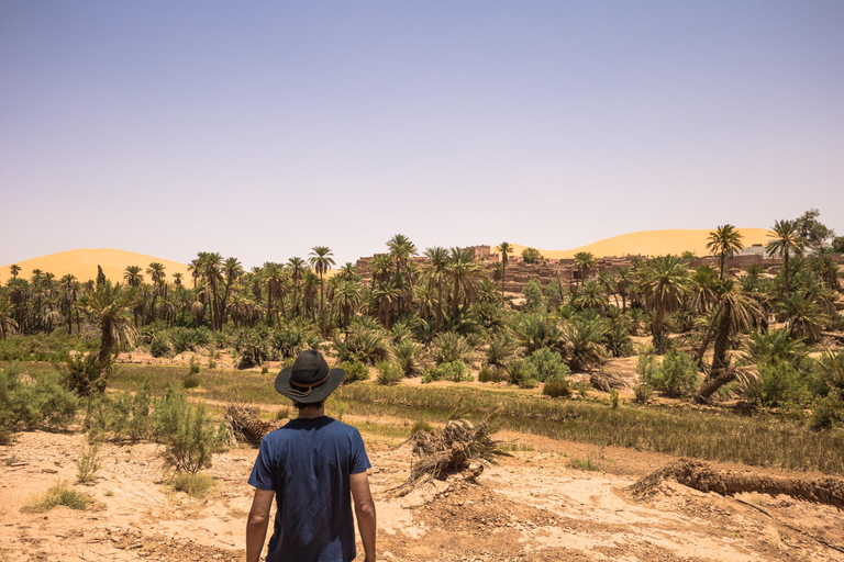 From Marrakech: 2-Day Zagora Desert Tour Camel & Luxury Camp Shared Tour With Luxury Camp