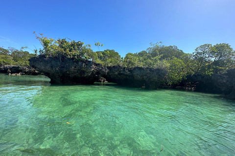 Group Tour Zanzibar: Safari Blue Snorkeling Trip with Lunch