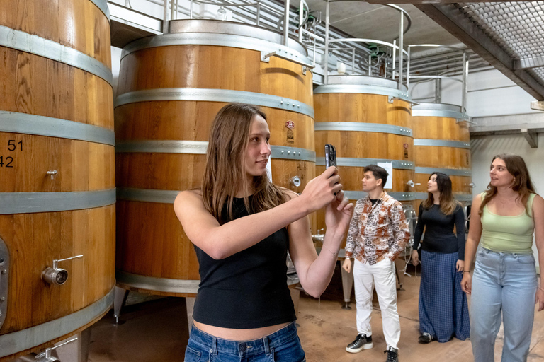 From Florence: Tuscany, Siena, San Gimignano & Winery Lunch Private Tour: Tuscany, Siena, San Gimignano & Winery Lunch