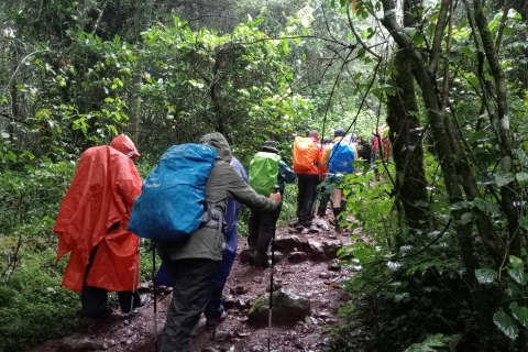 Marangu 6-Day Kilimanjaro Ascent : Le toit de l'Afrique