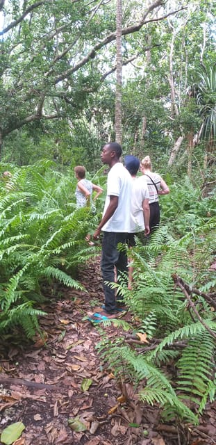 Zanzibar: Jozani Chwaka Bay National Park Private Tour | GetYourGuide