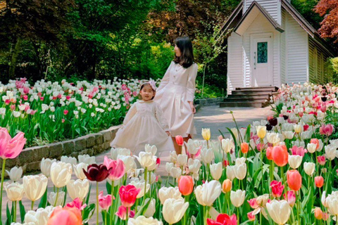 A partir de Seul: Begonia Bird Park, Rail Bike e Garden TourDongdaemun, 9h