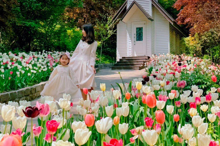 A partir de Seul: Begonia Bird Park, Rail Bike e Garden TourDongdaemun, 9h