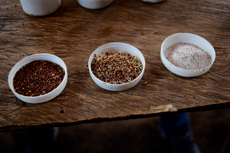 Mto wa Mbu: Waterfall, Maasai Boma, Village, & Balaa Hill Mto wa Mbu Tour & Canoe Ride on Lake Manyara