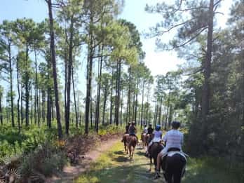 L'île d'Amelia : Randonnée à cheval guidée à Pumpkin Hill