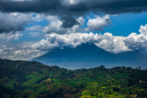 Safari in Uganda di 10 giorni tra natura e primati.