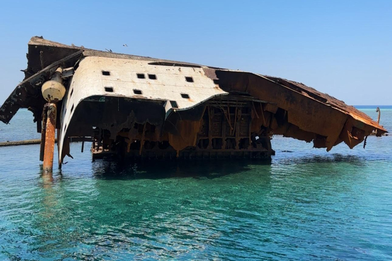 Sharm El Sheikh: Tiran Island Boat Diving & Snorkeling Intro Diving & Snorkeling – No Certification Required
