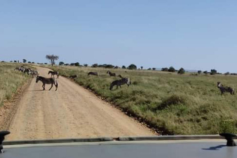 2Day Safari Tarangire and Ngorongoro Crater Join Group