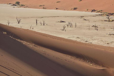 From Swakopmund: 2-Day Sossusvlei Scenic Journey (1 Night)