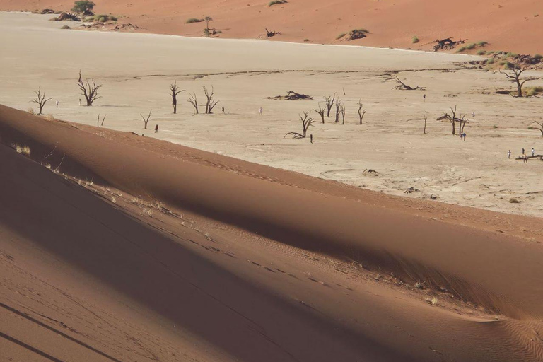 From Swakopmund: 2-Day Sossusvlei Scenic Journey (1 Night)