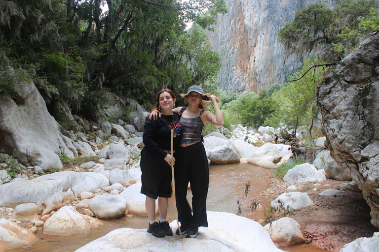 From Oaxaca: Trekking to the Santiago Apoala Waterfalls