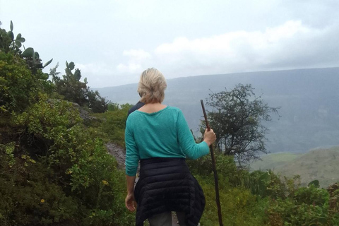 Addis Ababa: Debre Libanos Monastery Experience Tour