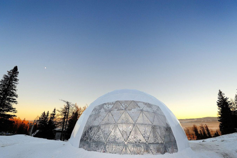 زاكوباني: جولة معبد هريبينوك الجليدي بواسطة قطار جبلي مائلزاكوباني: جولة في معبد هريبينوك الجليدي 