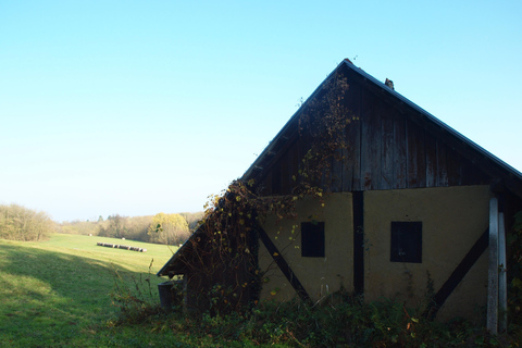 Novigrad Podravski: Vineyard Walking Tour in Podravina