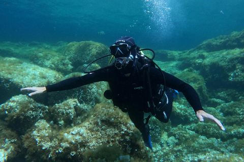 Malta: Discover Scuba Diving in crystal clear waters