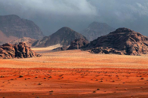 Amman: Petra & Wadi Rum overnight at Camp