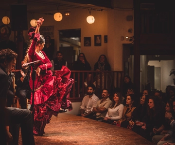 Sevilha: Visita guiada a Tapas, Vinho e Espetáculo de Flamenco