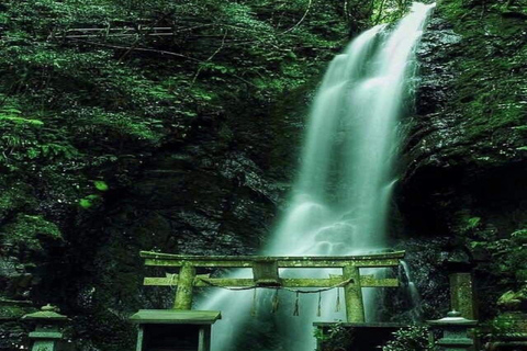 Kyoto Full-Day Private Customizable Tour with English Guide Kyoto: Private Full-Day Tour with Guide