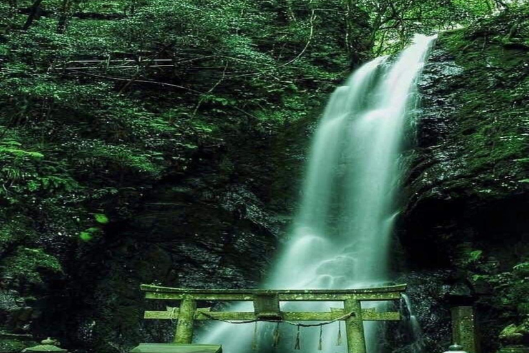 Kyoto Full-Day Private Customizable Tour with English Guide Kyoto: Private Full-Day Tour with Guide
