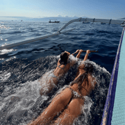 Lovina: Dolphin, Snorkeling, ATV Ride & Banyumala Waterfall