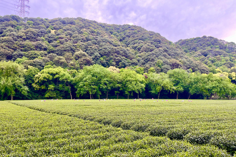 Hangzhou: UNESCO Tea Culture Experience – Hand Fry & Taste