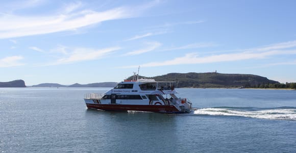 Palm Beach Harbour Hopper 24-hour or 48-hour Cruise Pass