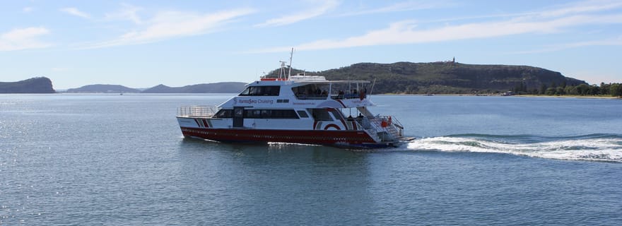 Carte de croisière de 24 ou 48 heures pour Palm Beach Harbour Hopper