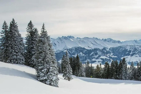 Huesca: Spa Experience in the Pyrenees