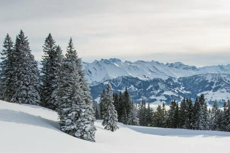 Huesca: Spa Experience in the Pyrenees