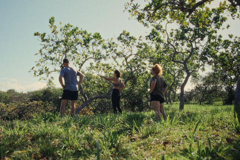 Boquete: 1-Day Personal Growth Workshop & Papayal River Swim