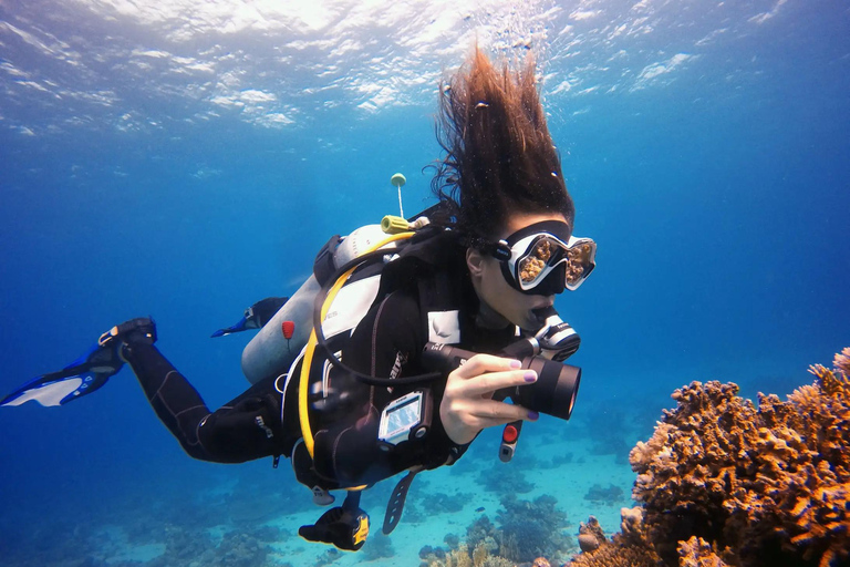 Marmaris: Scuba Diving w/Lunch & Hotel Pick Up Scuba Diving with Meeting Point (No Transfer)